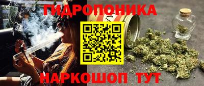 jwh Партизанск