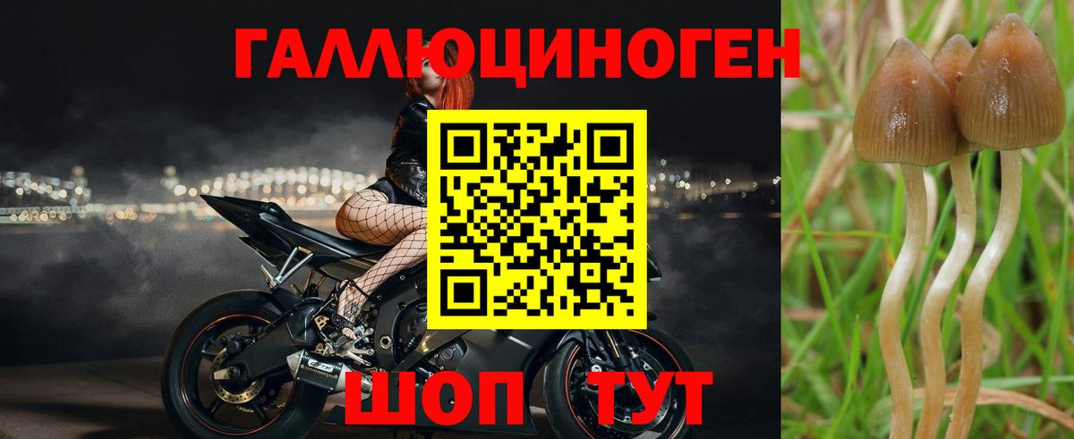 Галлюциногенные грибы Cubensis  Вход с VPN  Галлюциногенные грибы Psilocybe  Семилуки 